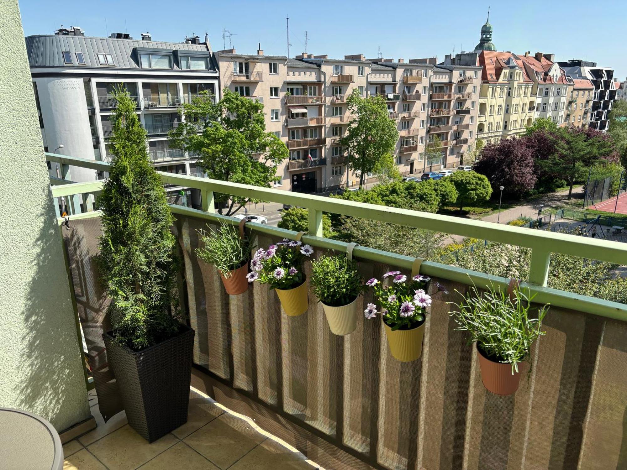 Apartment Wilda Poznan